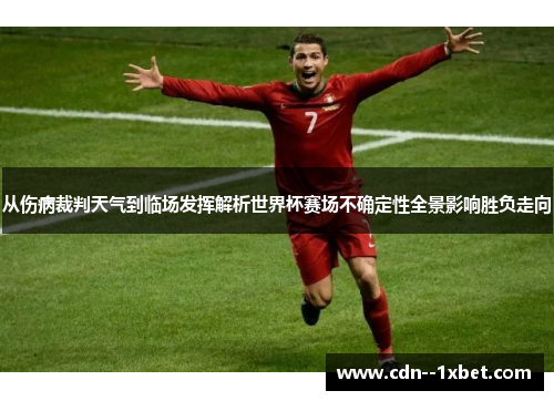 从伤病裁判天气到临场发挥解析世界杯赛场不确定性全景影响胜负走向