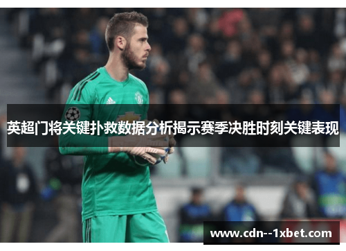 英超门将关键扑救数据分析揭示赛季决胜时刻关键表现